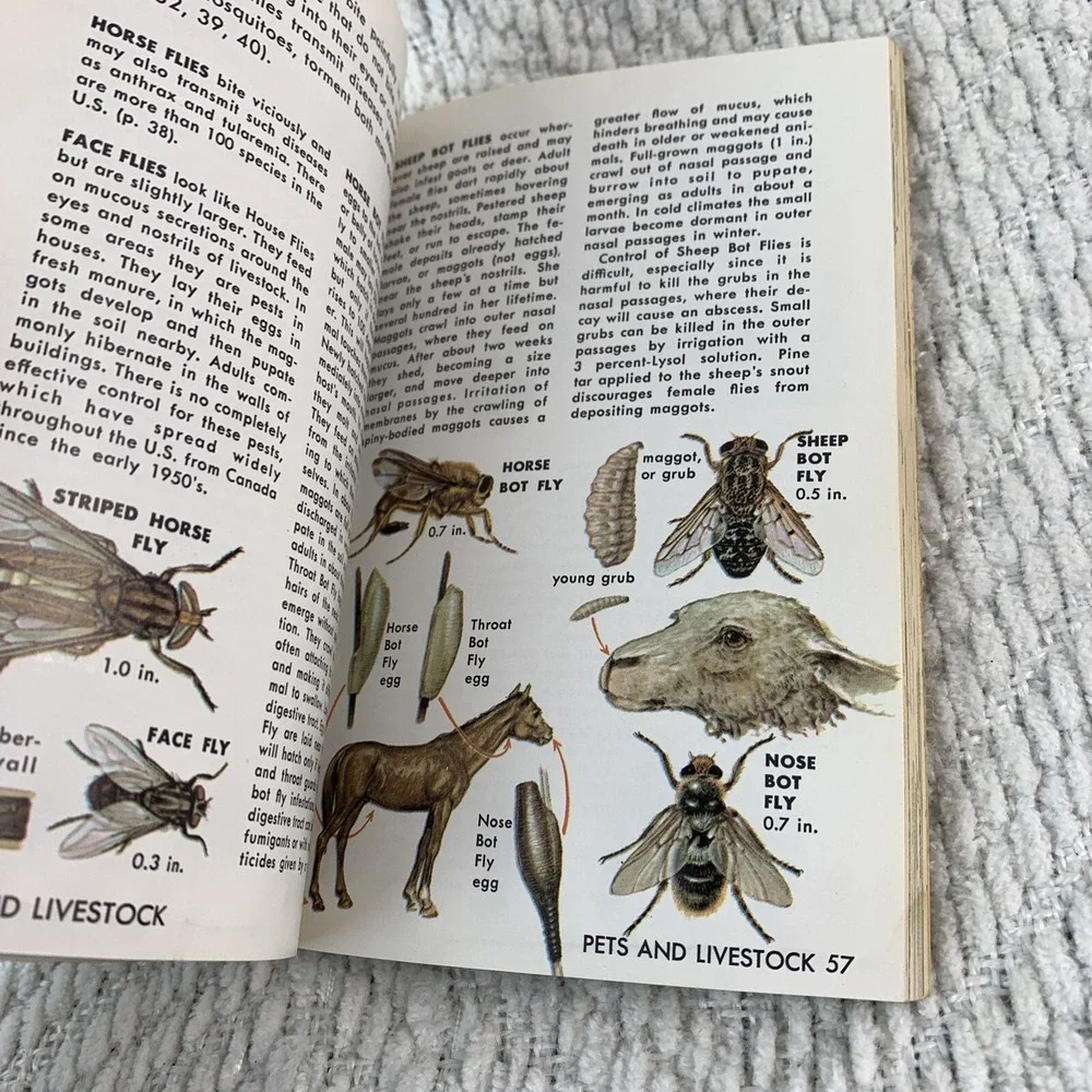 1966 A Golden Nature Guide INSECT PESTS by Herbert Zimm Home Garden Field Forest - Picture 14 of 16